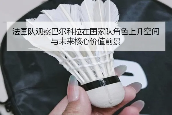 法国队观察巴尔科拉在国家队角色上升空间与未来核心价值前景