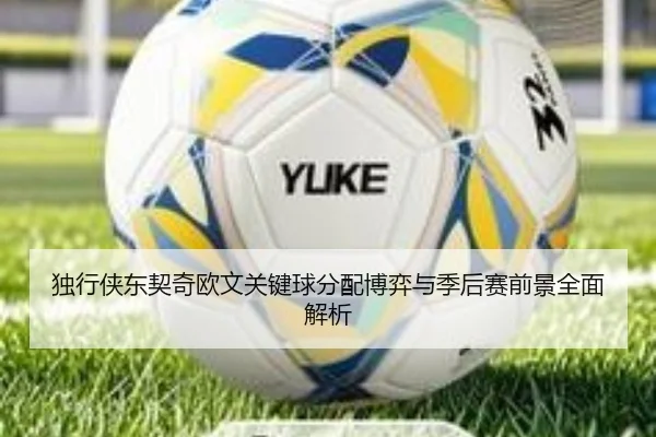 独行侠东契奇欧文关键球分配博弈与季后赛前景全面解析