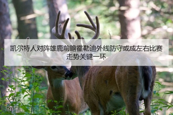 凯尔特人对阵雄鹿前瞻霍勒迪外线防守或成左右比赛走势关键一环